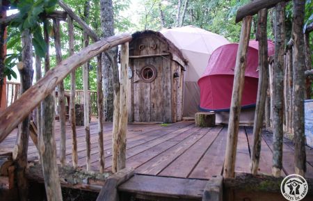 Cabane dans les arbres19G5754 Sexcles - Corr&egrave;ze - photo