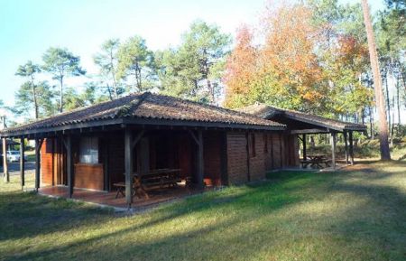 G&icirc;te n&deg;20228 Pissos - Landes - photo