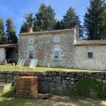 Chez Loulou