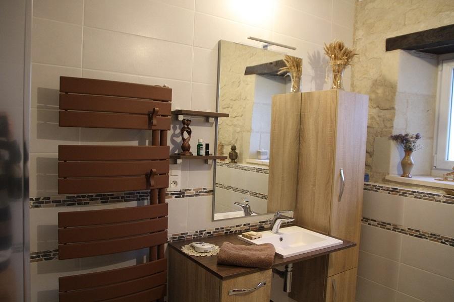 salle d'eau de la chambre rouge gorge au rez-de-chaussée (attribuée systématiquement pour accueillir une ou deux personnes) photo 10
